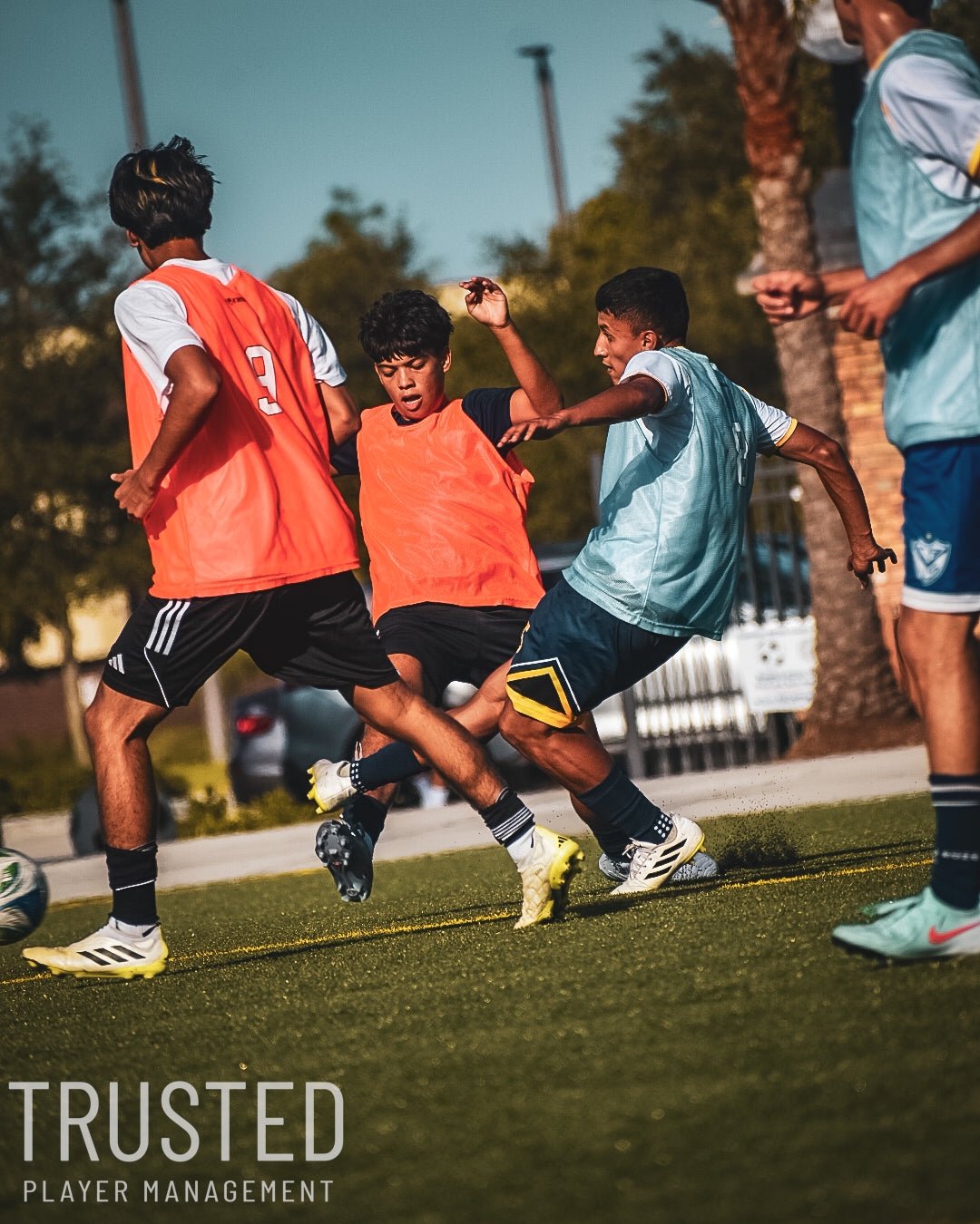 Trusted Player Management