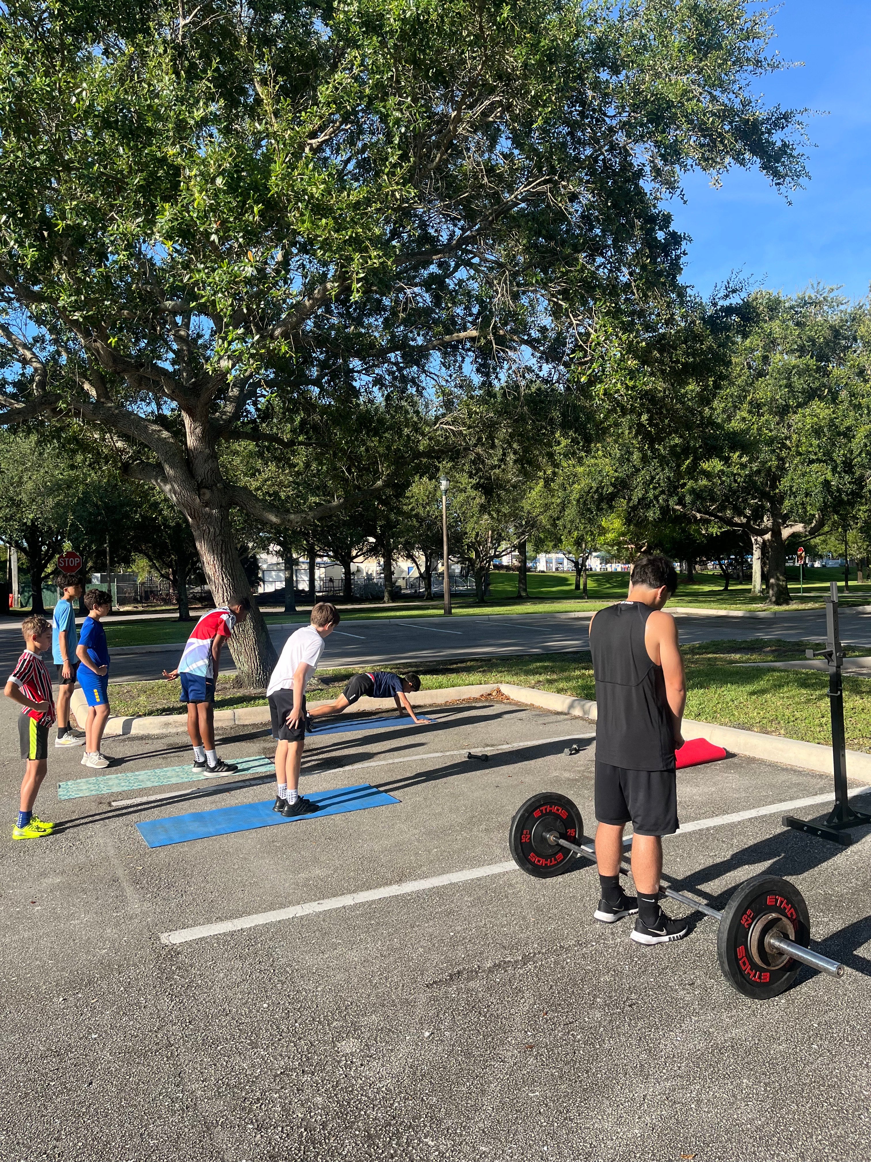 Strength & Agility Training